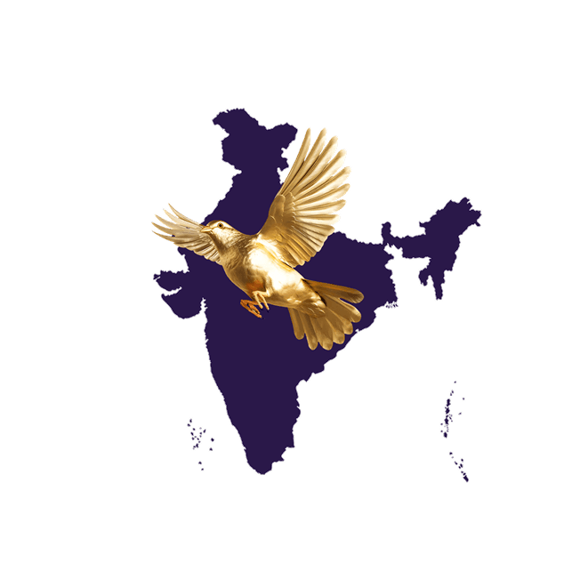 india and golden bird